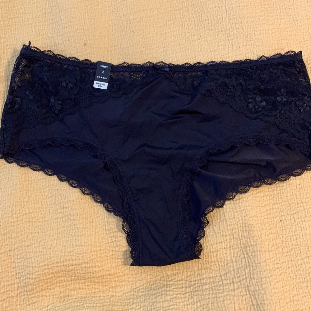 NWT cheeky brief